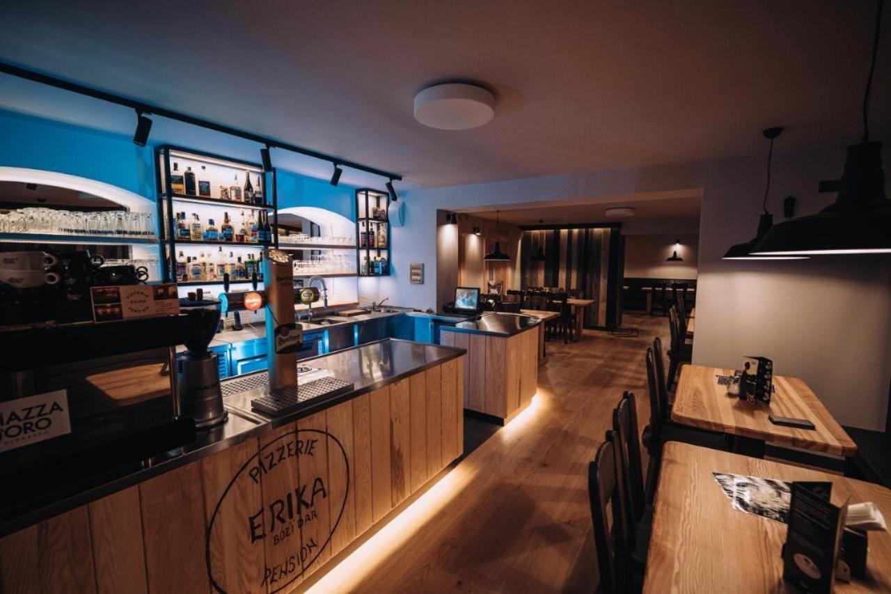 Penzion Erika Boží Dar Extérieur photo