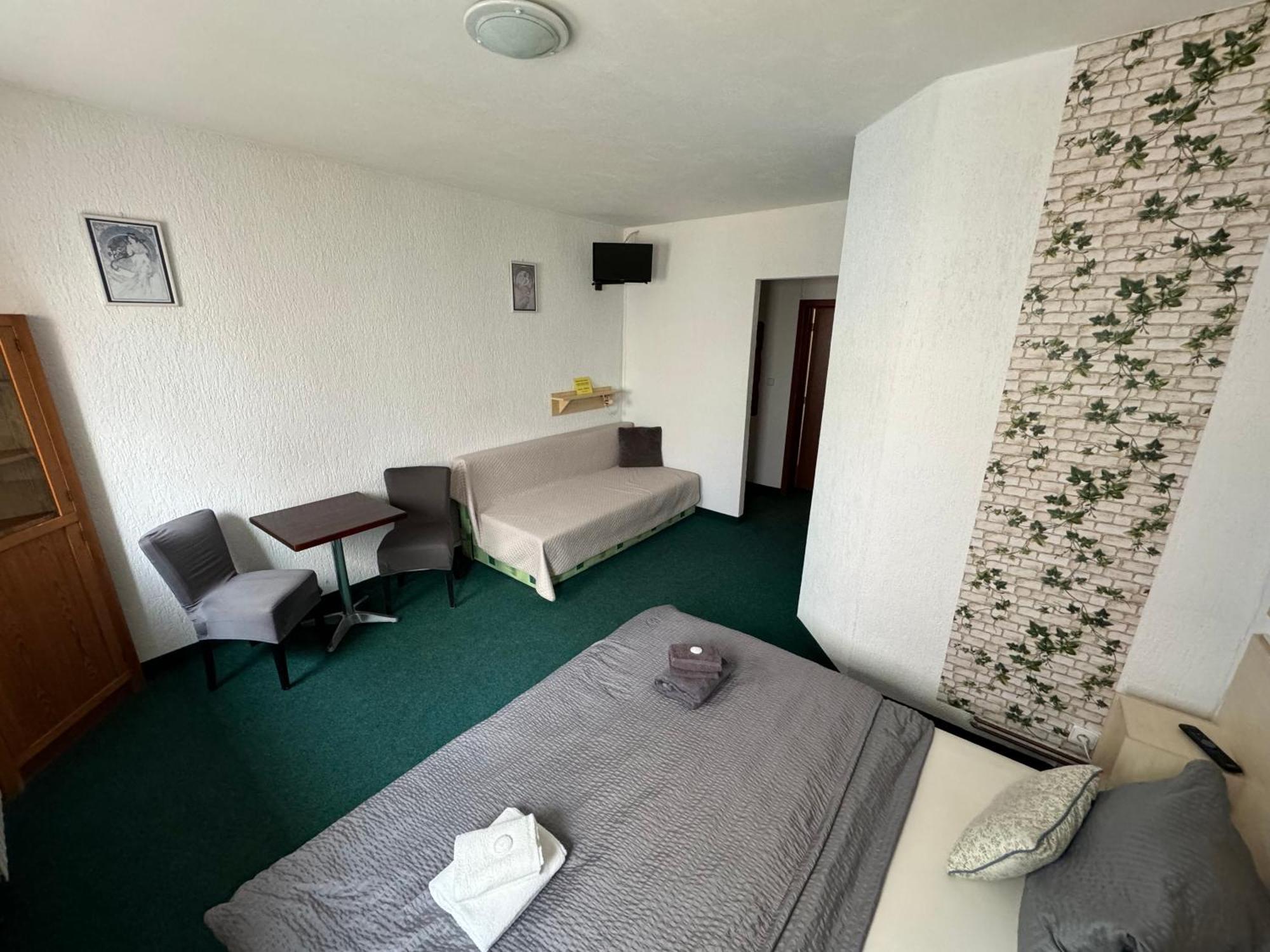 Penzion Erika Boží Dar Extérieur photo