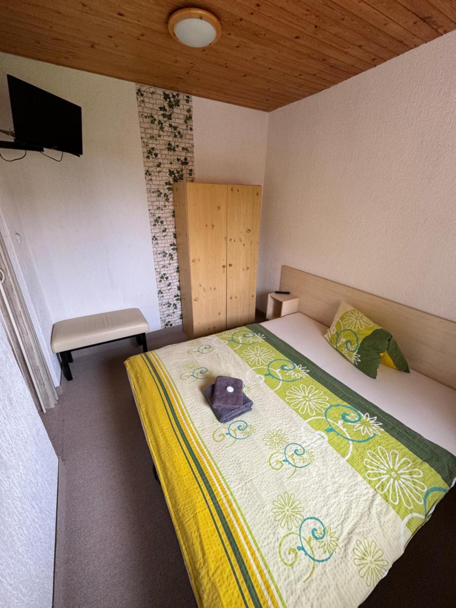 Penzion Erika Boží Dar Extérieur photo
